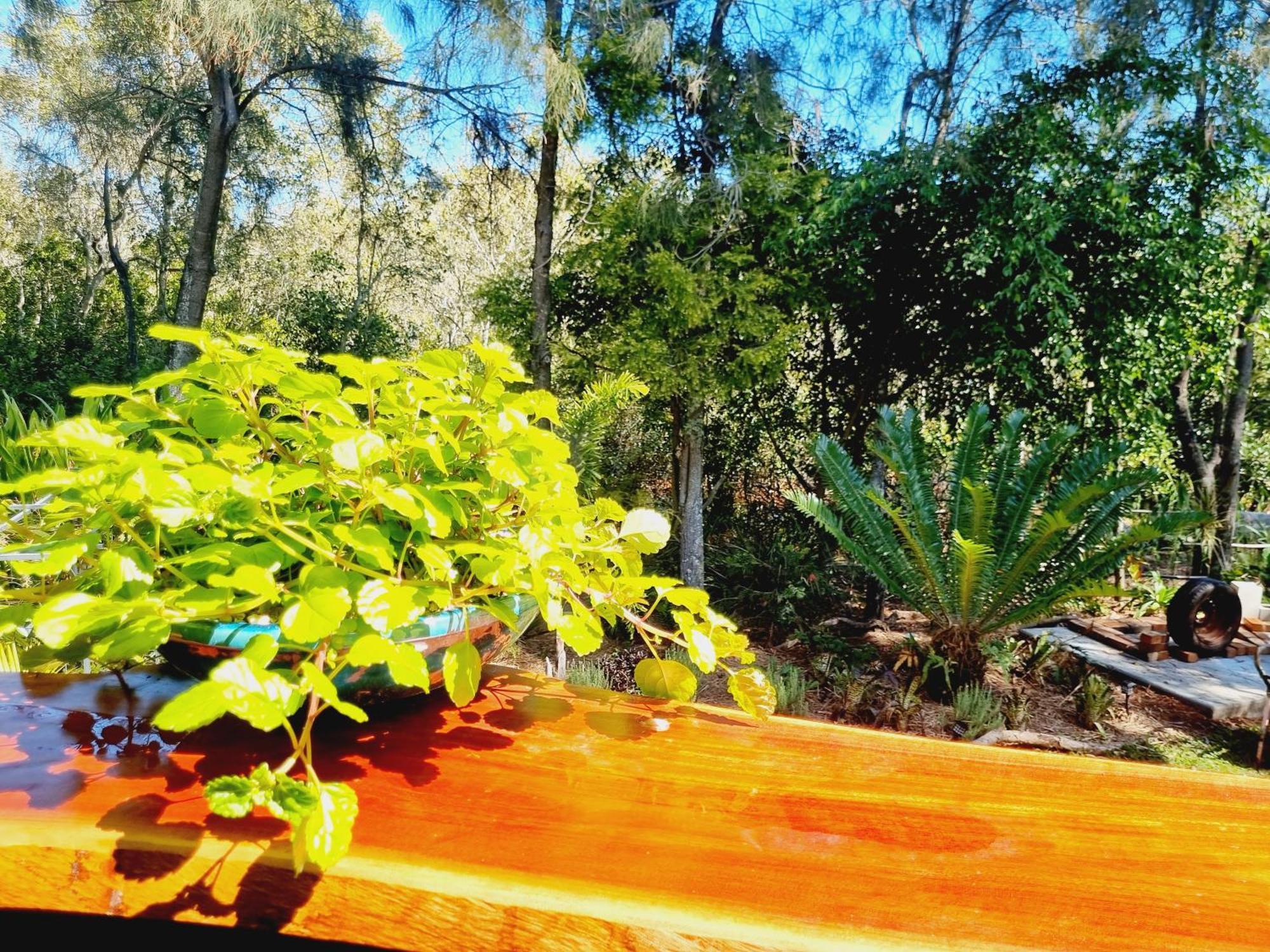 Birdsong Retreat - On Lamb Island Bed & Breakfast Karragarra Island Eksteriør bilde